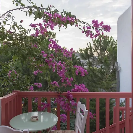 Thalassitra Private Pool 酒店