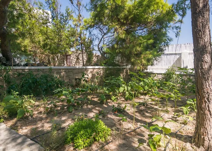 Hotel Thalassitra Private Pool *